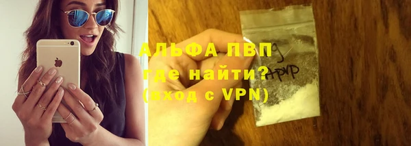 стафф Арсеньев